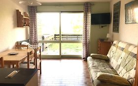studio 4 personnes rez de jardin a Ancelle 05260